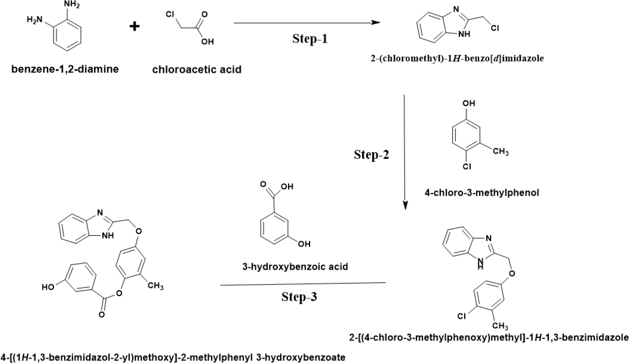 Synthesis of 4-[(1H-1,3-benzimidazol-2-yl) methoxy]-2-methylphenyl 3-hydroxybenzoate.