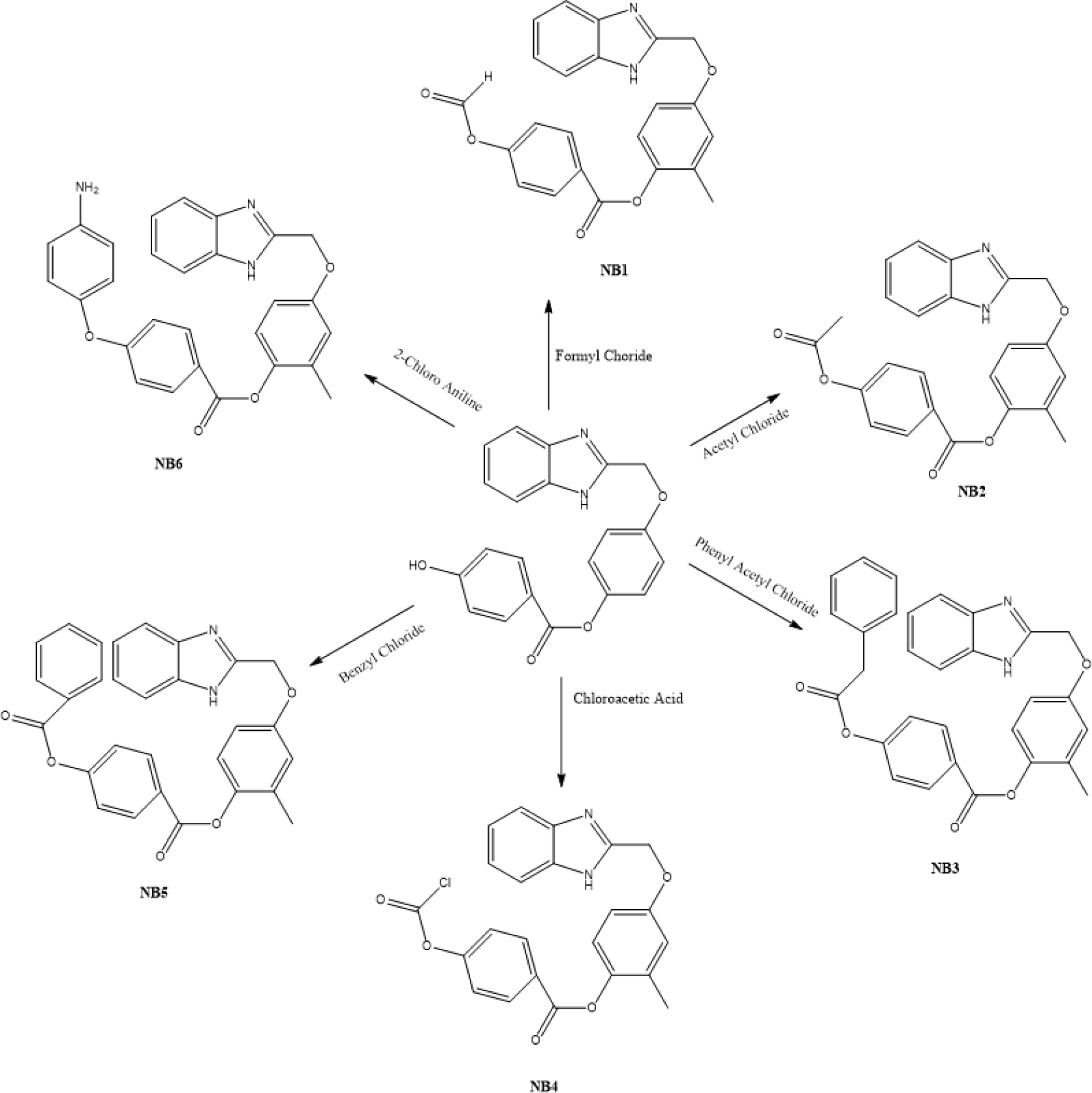 Scheme for synthesis of 4-((1H-benzo[d]imidazol-2-yl)methoxy)phenyl 4 hydroxybenzoate derivates.