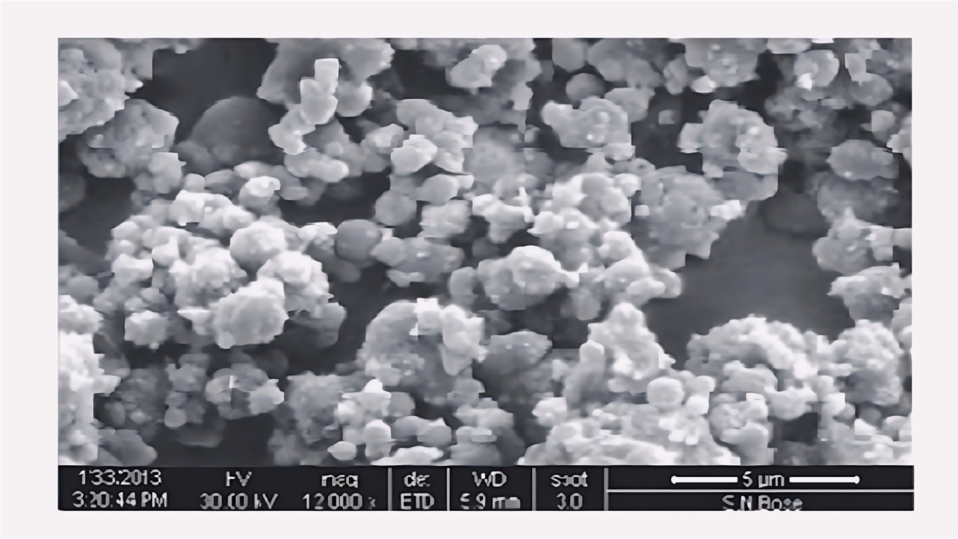 Surface topographic study of optimized batch by SEM.