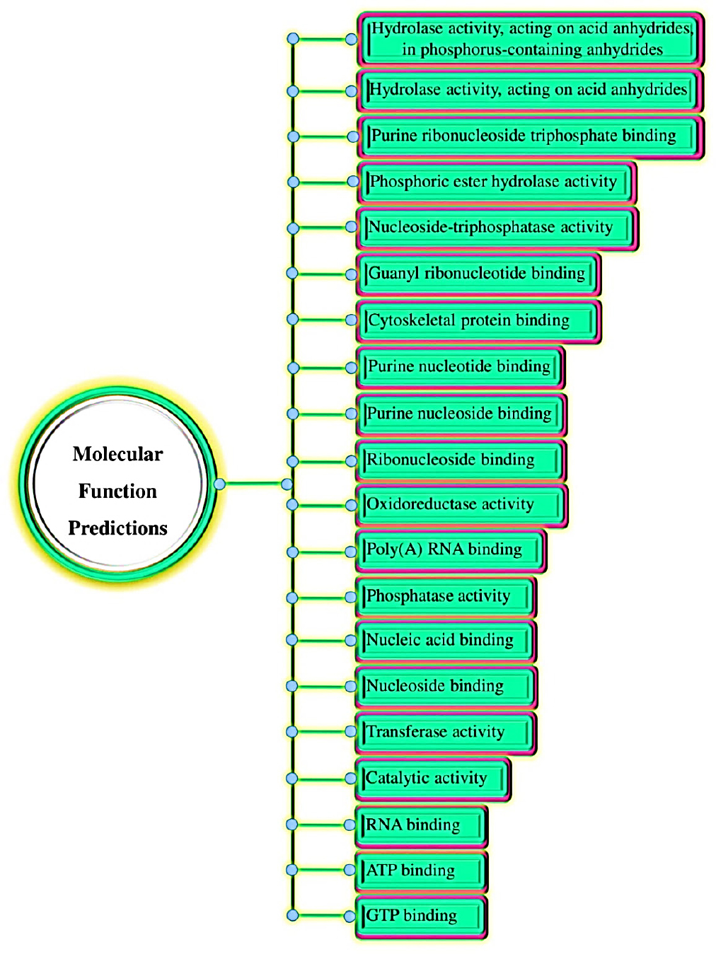Molecular Function Predictions of dengue serotype virus-1 (DENV-1).