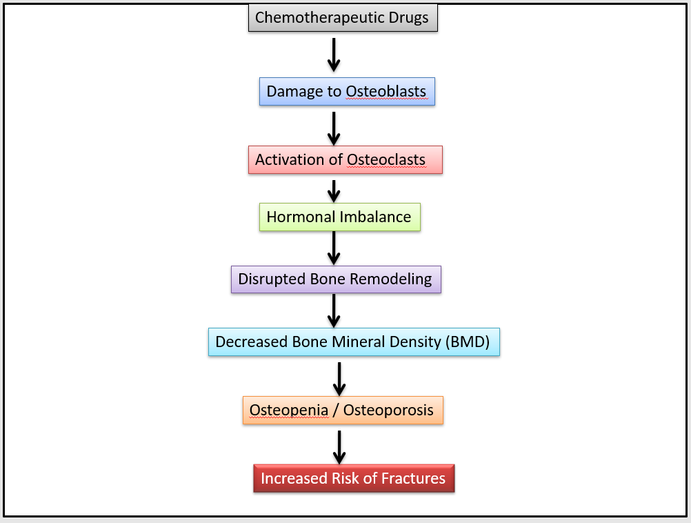 Impact of Chemotherapeutic Drugs on Bone Health.
