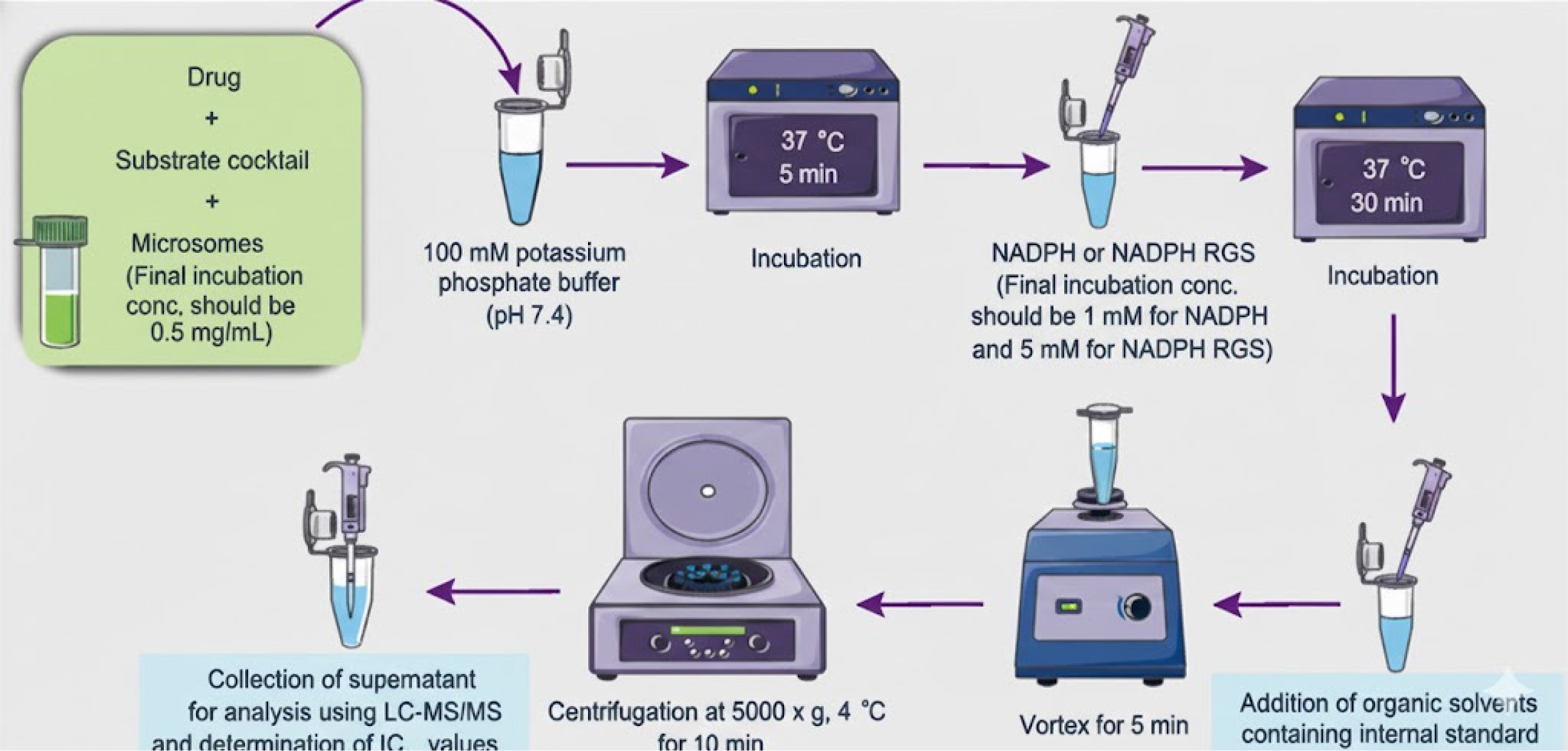 This figure illustrates the experimental workflow for Cytochrome P450 (CYP) inhibition studies using liver microsomes. The process involves sequential steps of incubation with the drug, substrates, and cofactors (NADPH/NADPH RGS) at 37∘C, Sample preparation includes protein precipitation via organic solvents, vortexing, and centrifugation, followed by the collection of the supernatant for LC-MS/MS analysis to determine IC50 values.