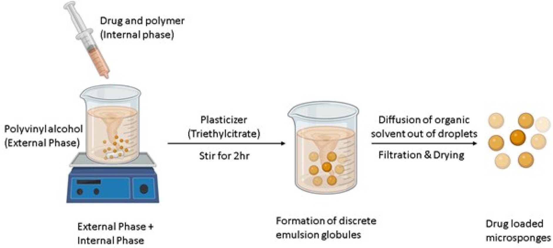 Schematic representation of drug release from the loaded microsponges.