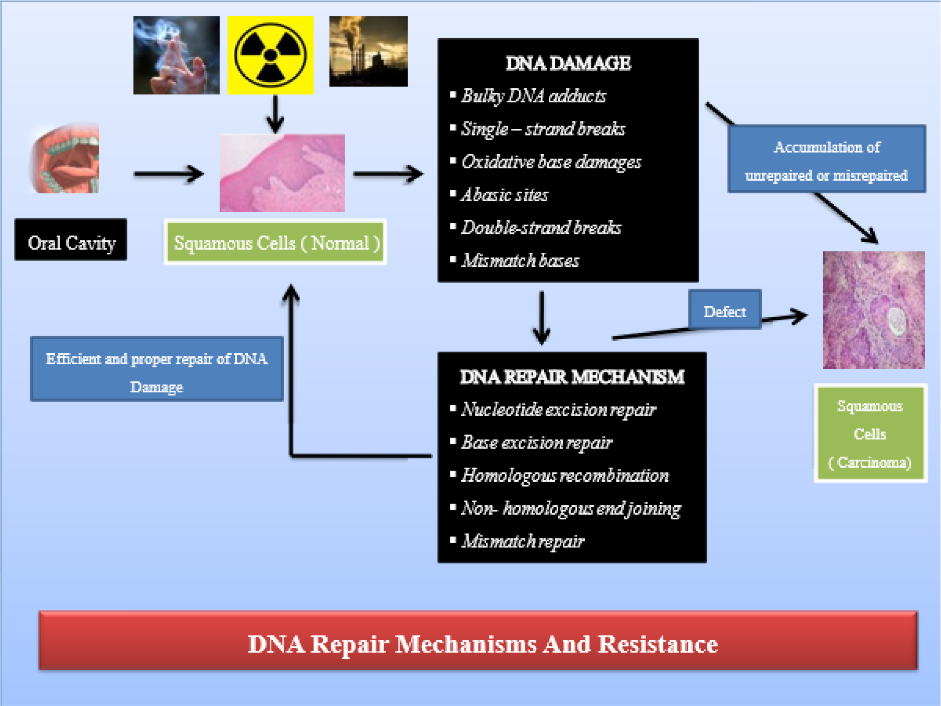 DNA Repair Mechanisms and Resistance.