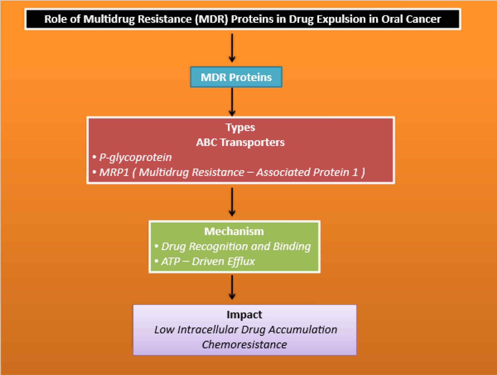 Role of Multidrug Resistance (MDR) Proteins in Drug Expulsion.