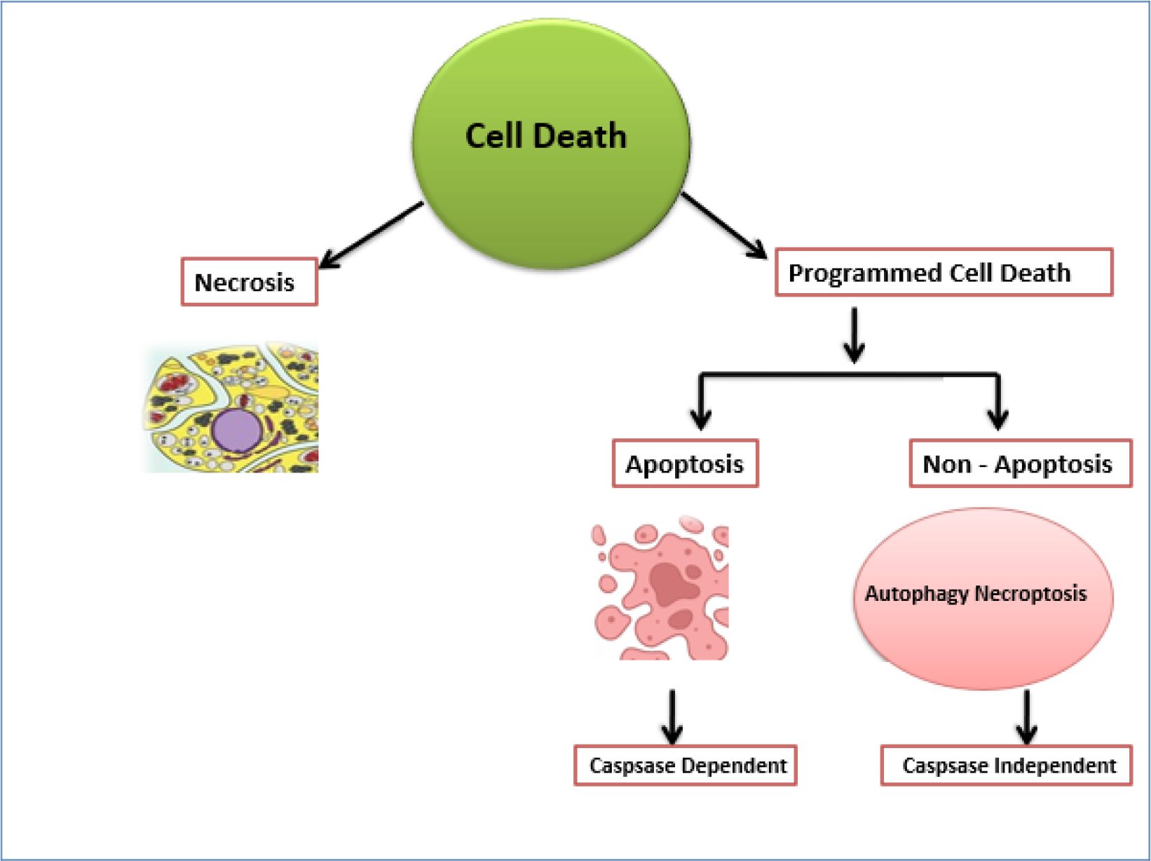 General Mode of Cancer Cell Death.