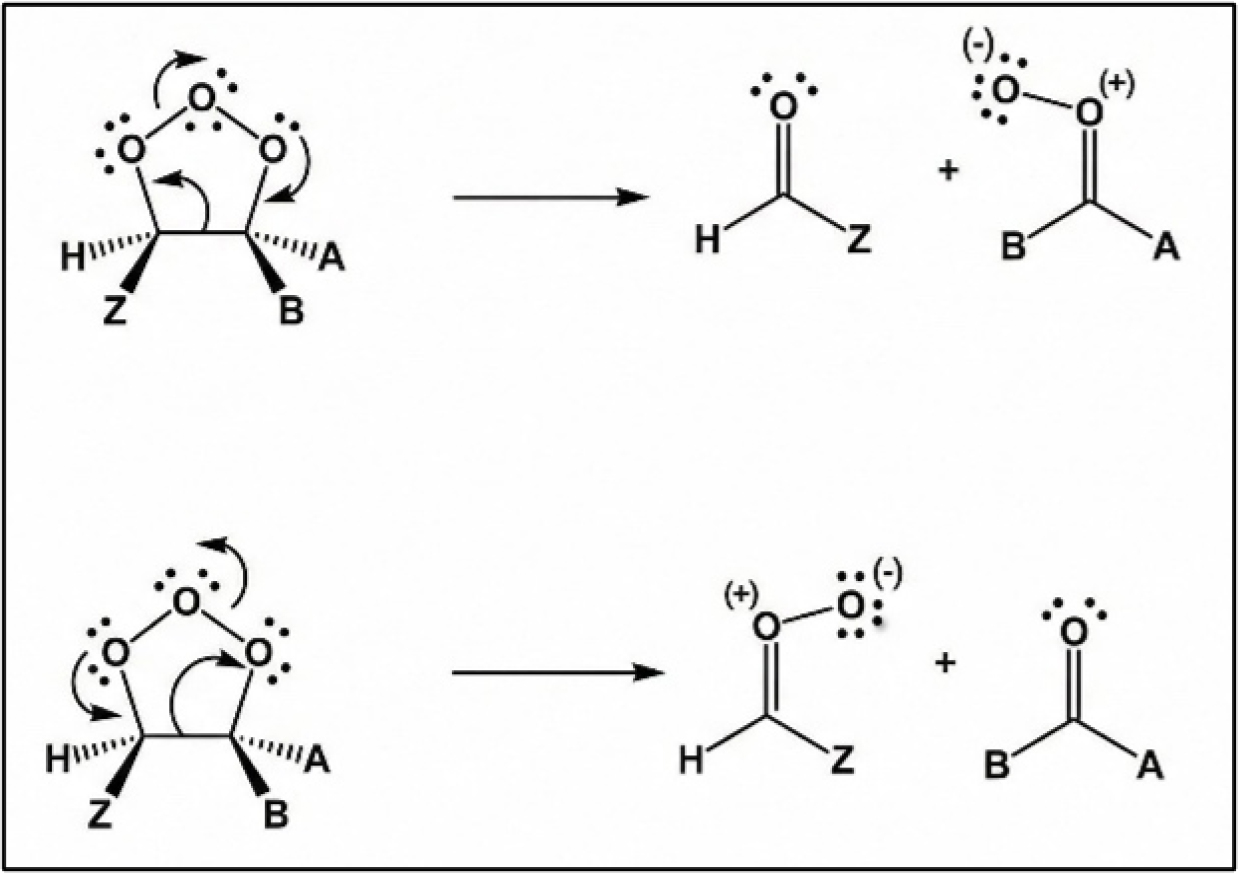 Formation of Criegee intermediate.