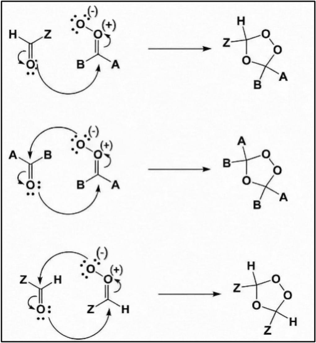 Formation of secondary ozonide.