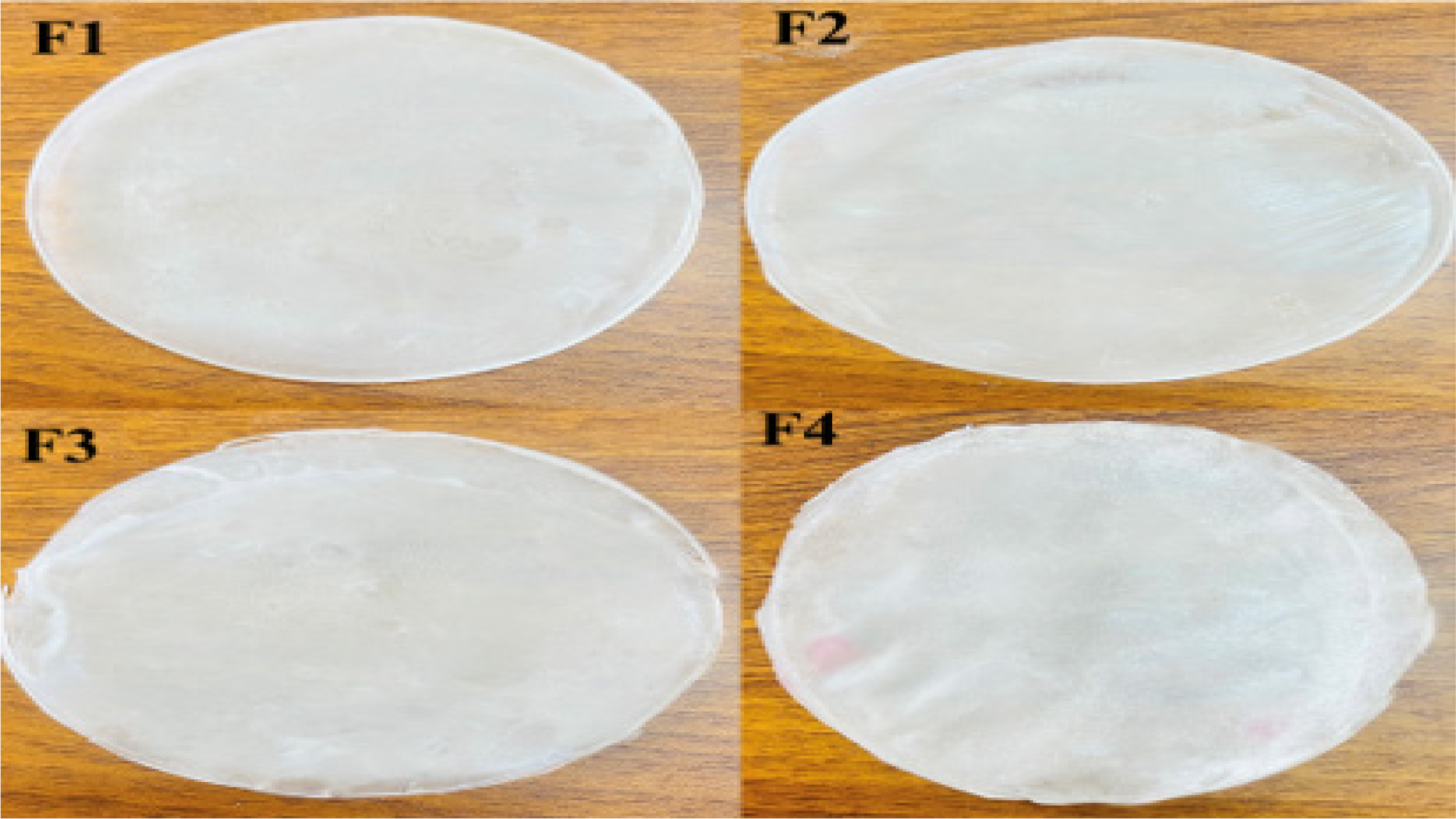 Drug-loaded transdermal patch formulations (F1-F4).