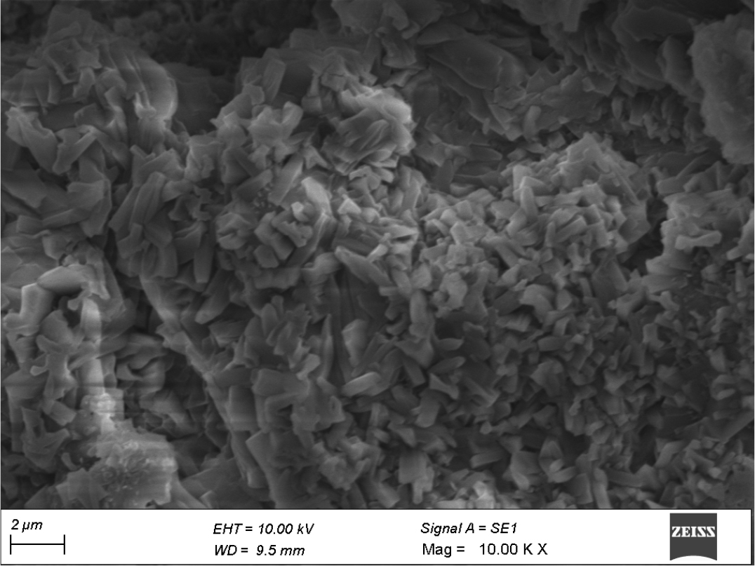 SEM image of azilsartan medoxomil nanoparticles.