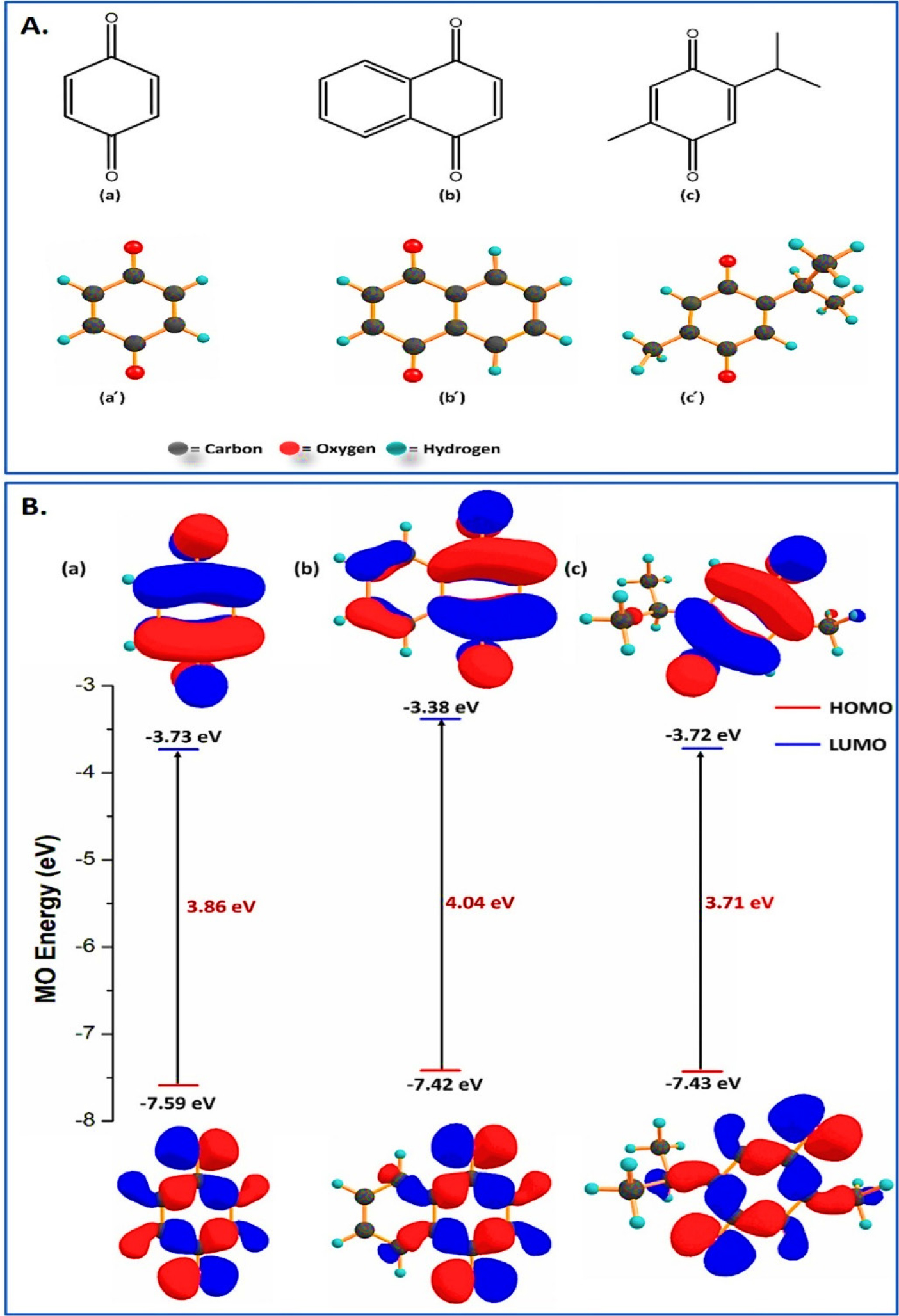 (A) ChemDraw and Optimized structures of compound 1 (a) and (a՛) benzoquinone, compound 2 (b) and (b՛) naphthalene-1,4-dione, and compound 3 (c) and (c՛) 2-isopropyl-5-methylcyclohexa-2,5-diene-1,4-dione. (B) Frontier molecular orbital (HOMO-LUMO) distributions and corresponding energy gaps of the (a) compound 1; benzoquinone, (b) compound 2; naphthalene-1,4-dione, and (c) compound 3; 2-isopropyl-5-methylcyclohexa-2,5-diene-1,4-dione.