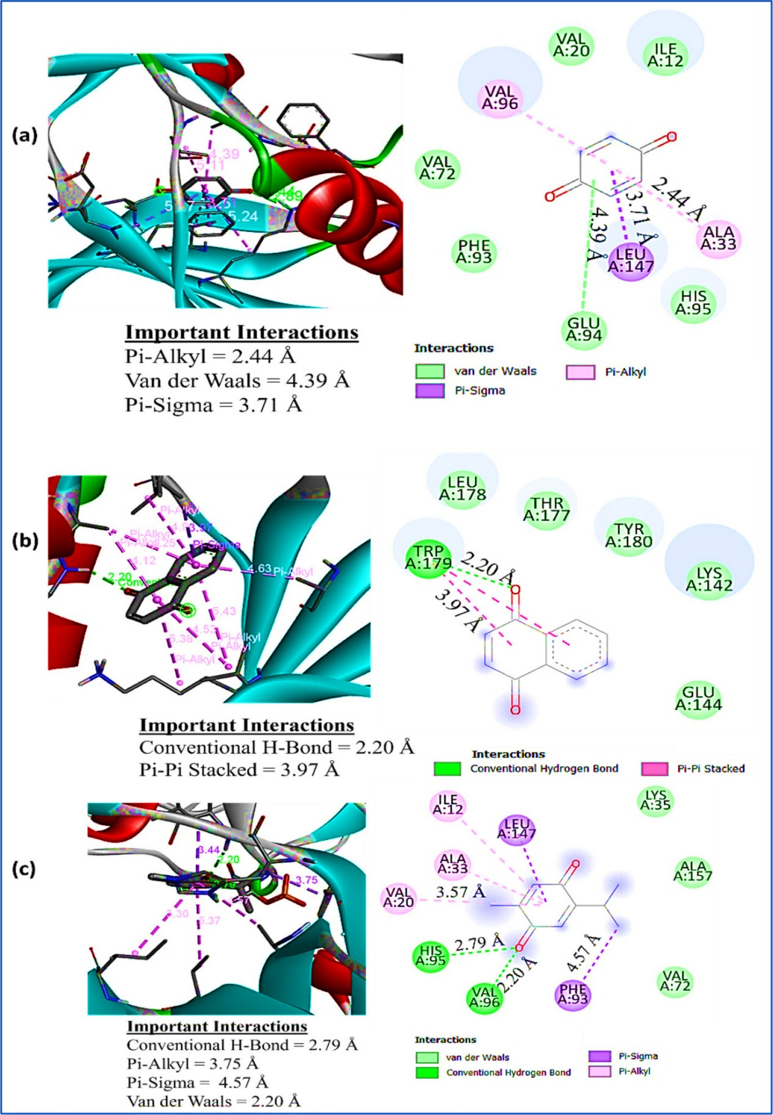 Docked structure of (a) compound 1 (benzoquinone), (b) compound 2 (naphthalene-1,4-dione), and (c) compound 3 (2-isopropyl-5-methylcyclohexa-2,5-diene-1,4-dione) with 7SJ3 receptor (3D docked view, interactions with bond lengths and 2D interaction diagram).