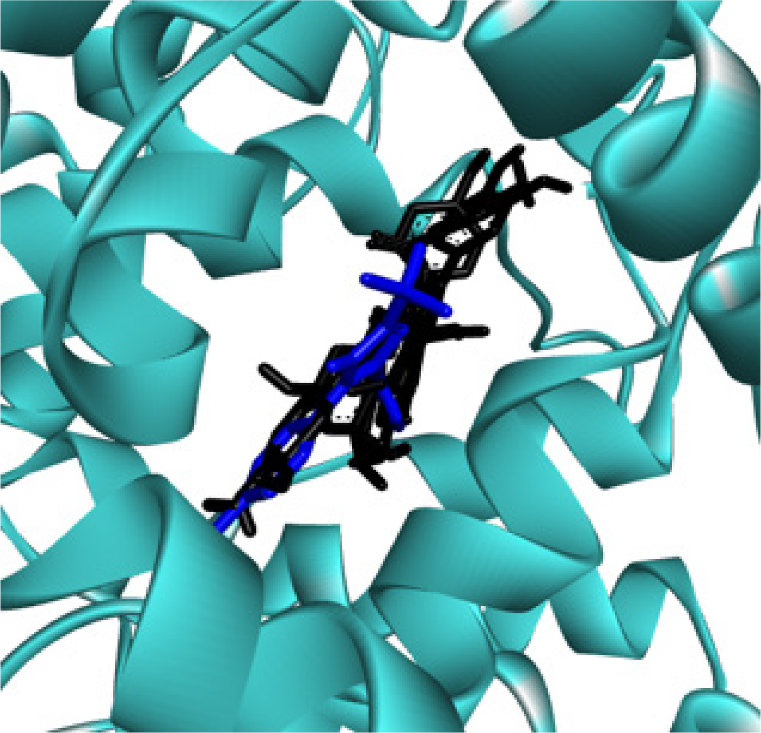 Binding representation of top 4 compounds (black) and Celecoxib (green) with the COX-2 protein.