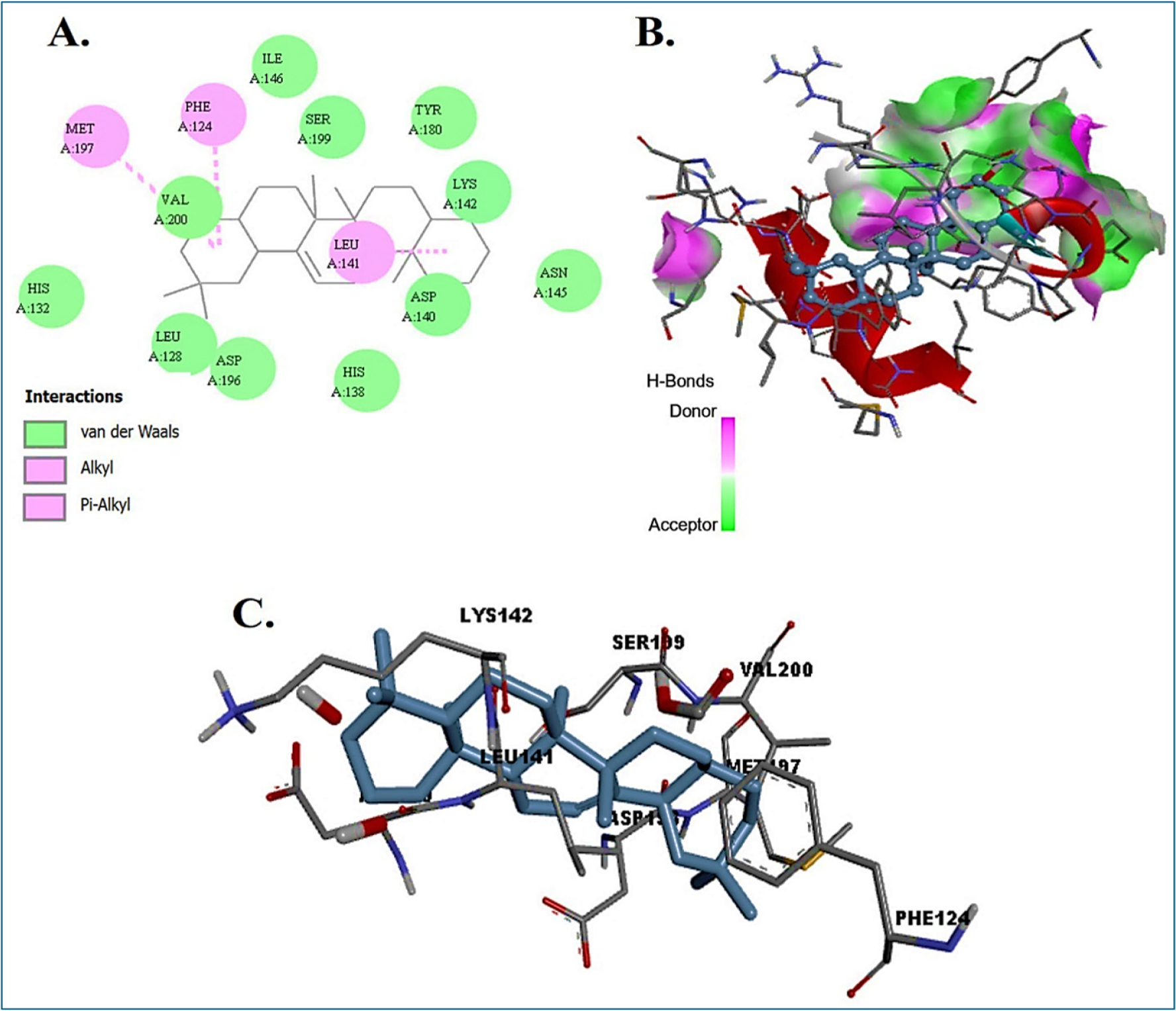 (A) Molecular docking of Maslinic acid with CDK4. Two-dimensional interaction map showing hydrophobic and van der Waals contacts. (B) Three-dimensional binding pose of maslinic acid within the CDK4 active pocket. (C) Close-up view highlighting key interacting residues in the binding site.