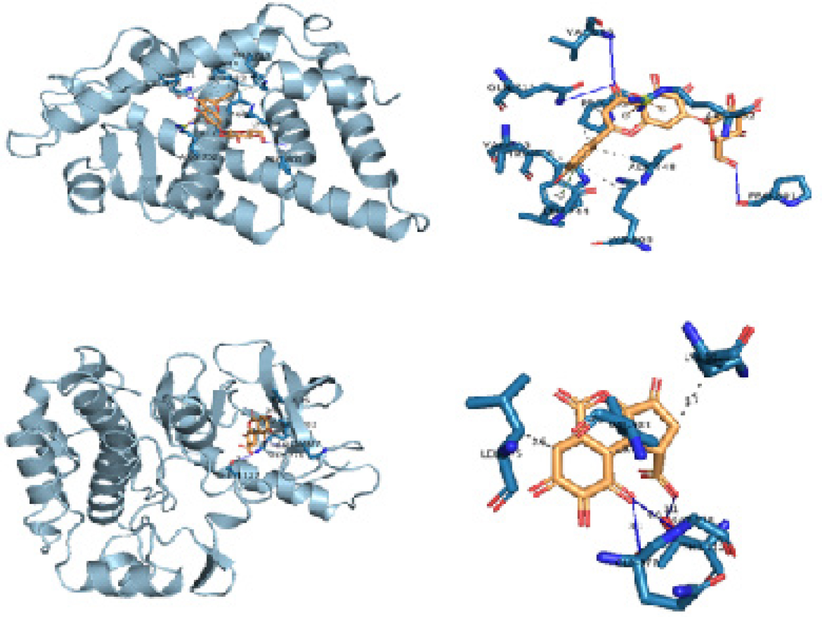 (A) Docked Pose And PLIP Interaction Profile Of Plantaginin Bound To Androgen Receptor (AR). (B) Docked Pose And PLIP Interaction Profile Of Brevifolin Carboxylic Acid Bound To Insulin-Like Growth Factor-1 Receptor (IGF-1R).