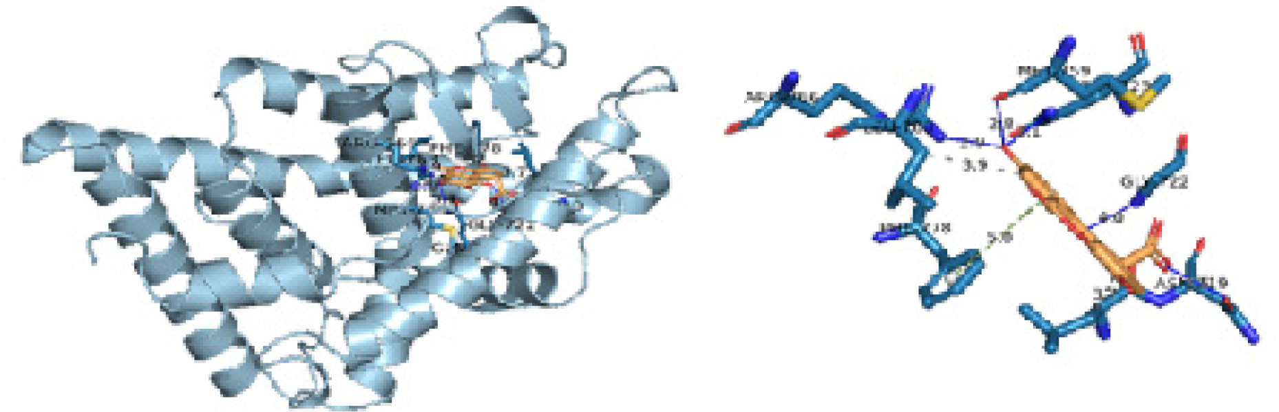 Docked Pose And PLIP Interaction Profile of Brevifolin Carboxylic Acid Bound To Progesterone Receptor (PR).