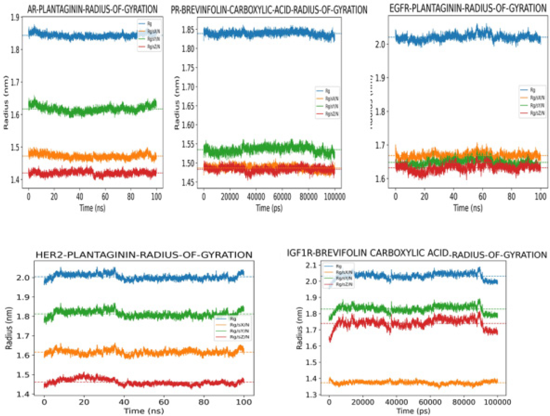 Radius of gyration (Rg) profiles of all protein–ligand complexes, representing changes in global protein compactness and overall folding stability during molecular dynamics simulations.