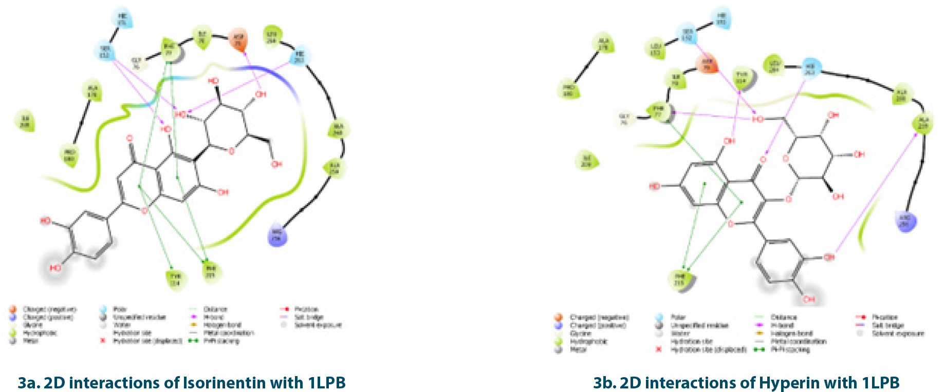 Molecular docking - 2D interactions of Isoorientin and Hyperin with 1LPB.
