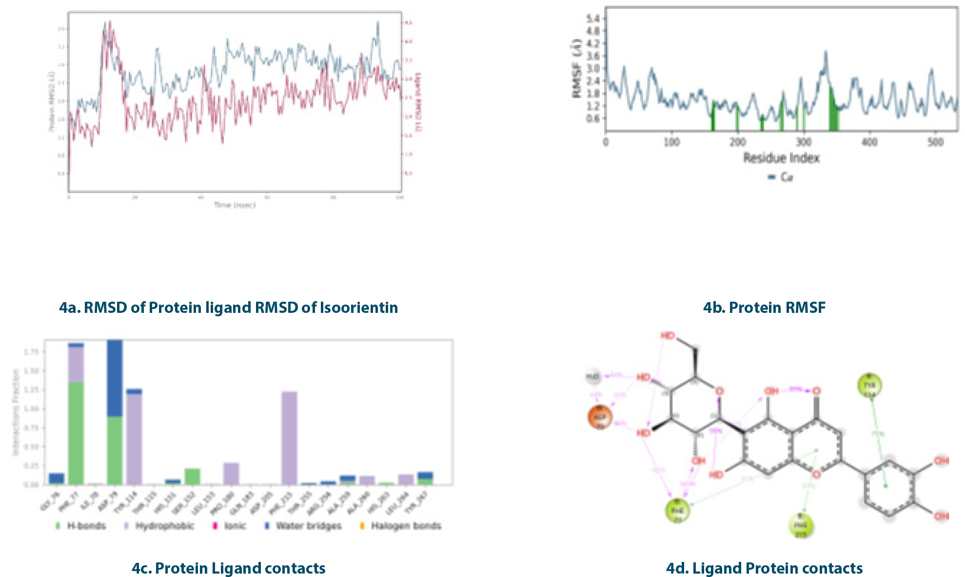 Molecular dynamic simulations of Pancreatic lipase-Isoorientin complex.