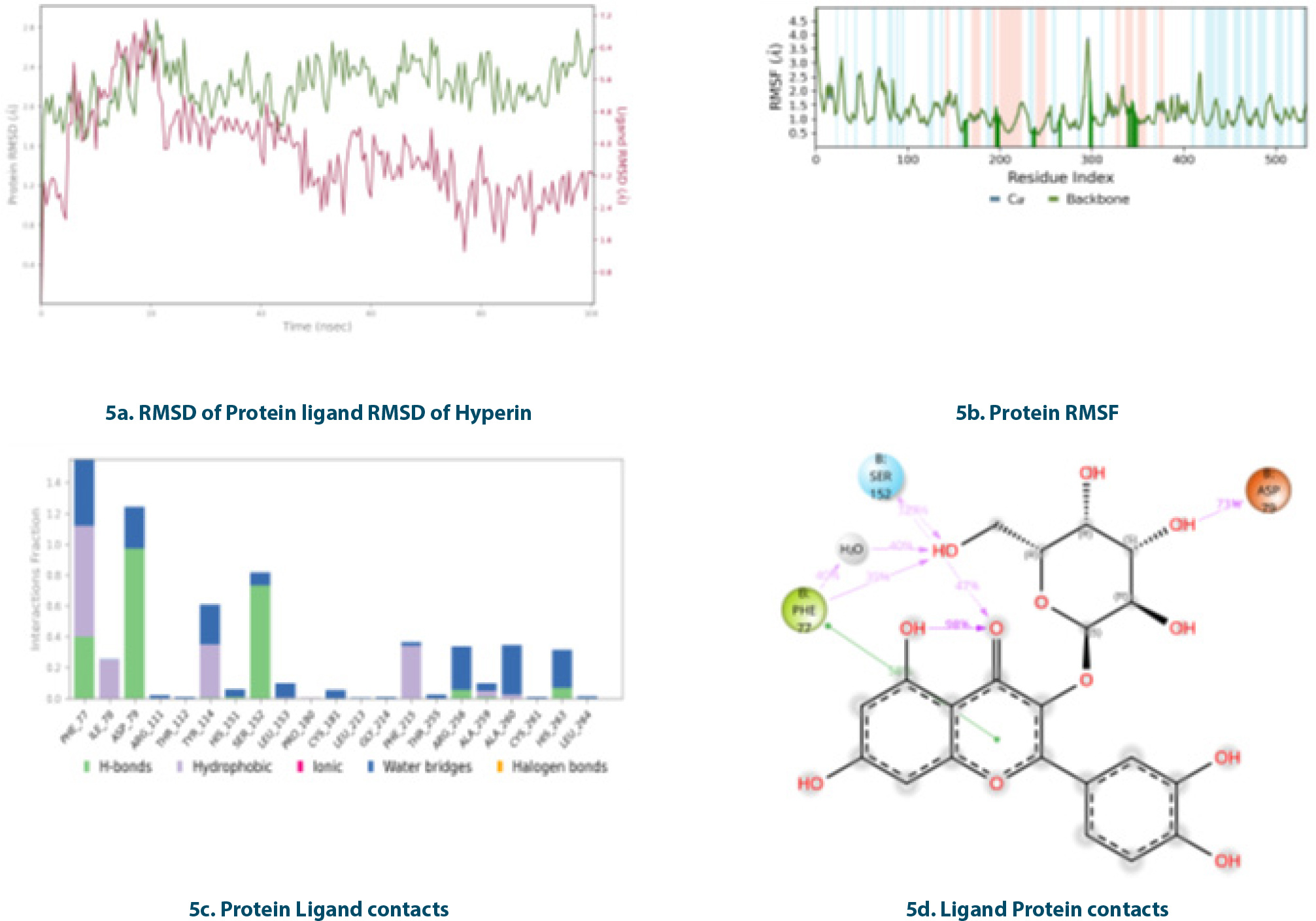 Molecular dynamic simulations of Pancreatic lipase-Hyperin complex.