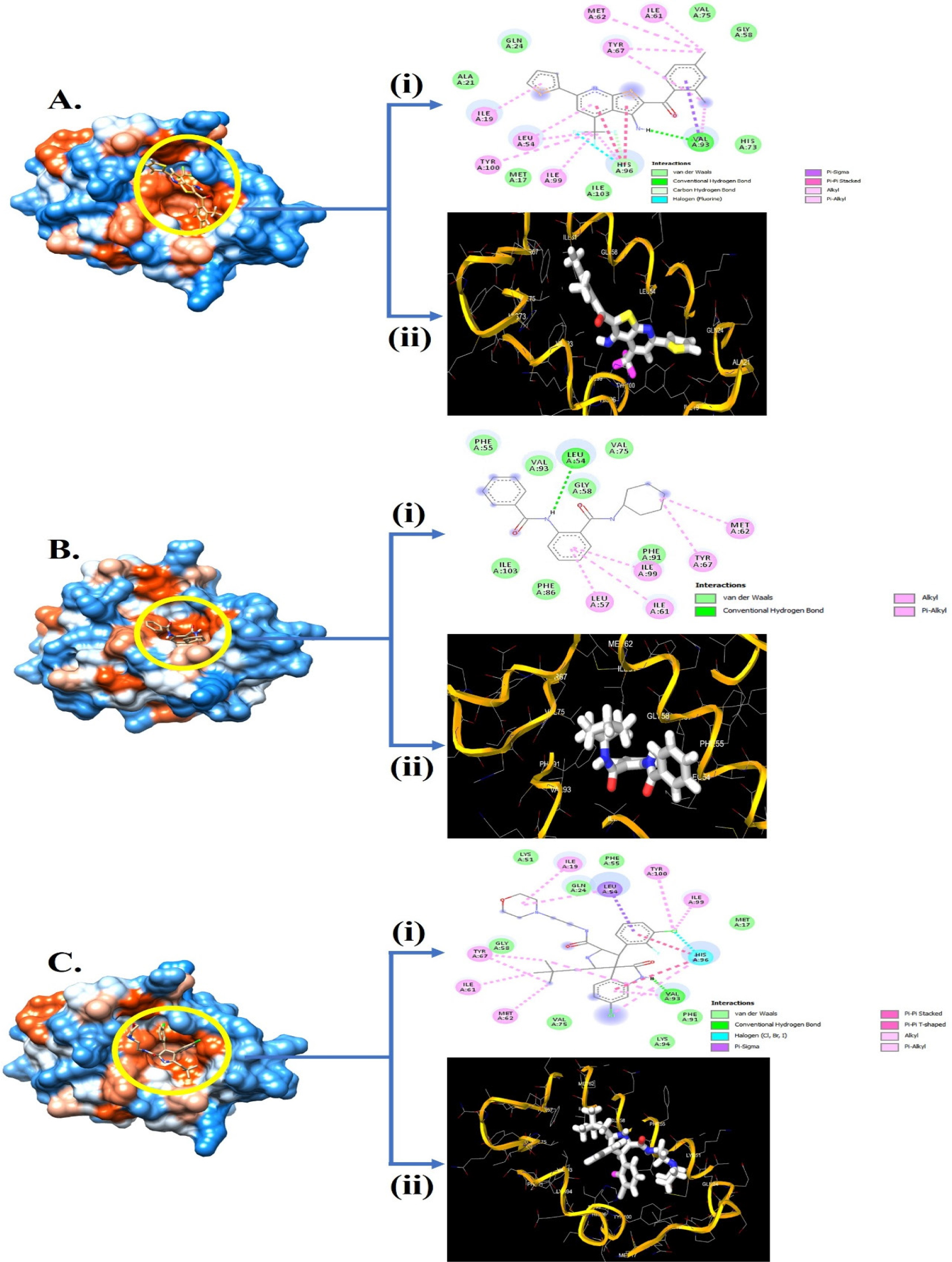(A) Interacting Illustration of Compound 8 represented with different Poses, including surface pose, (i) 2-D interaction, and (ii) 3-D interaction. (B) Interacting Illustration of Compound 10 represented with different Poses, including surface pose, (i) 2-D interaction, and (ii) 3-D interaction. (C) Interacting Illustration of Reference Compound represented with different Poses, including surface pose (i) 2-D interaction, and (ii) 3-D interaction.