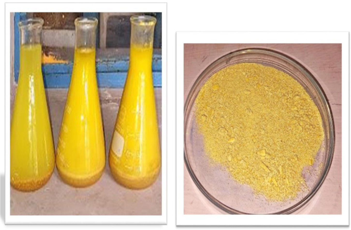 a and b Extraction of fenugreek seed in ethanol and dry powder.