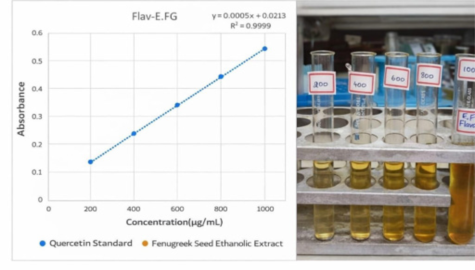 Quantification of Flavonoids content in Fenugreek Seeds (Trigonella foenum-graecum) Ethanolic Estimation of total flavonoid content in Trigonella foenum-graecum ethanolic extract at various concentrations measured at 510 nm. Quercetin Standard Grap.