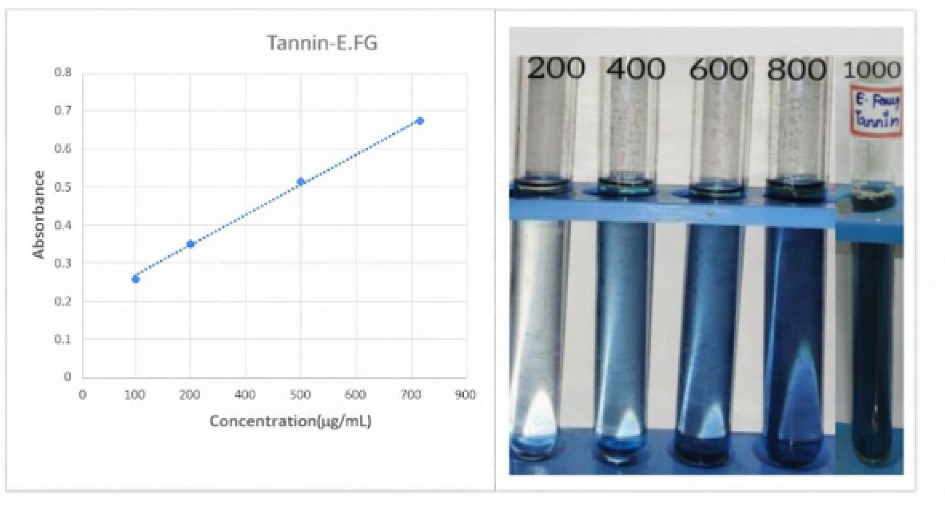 Quantification of tannin content in fenugreek seeds (Trigonella foenum-graecum) ethanolic extract. Estimation of total tannin content in Trigonella foenum-graecum ethanolic extract at Various concentrations were measured at 725 nm. Gallic acid Standard Graph.