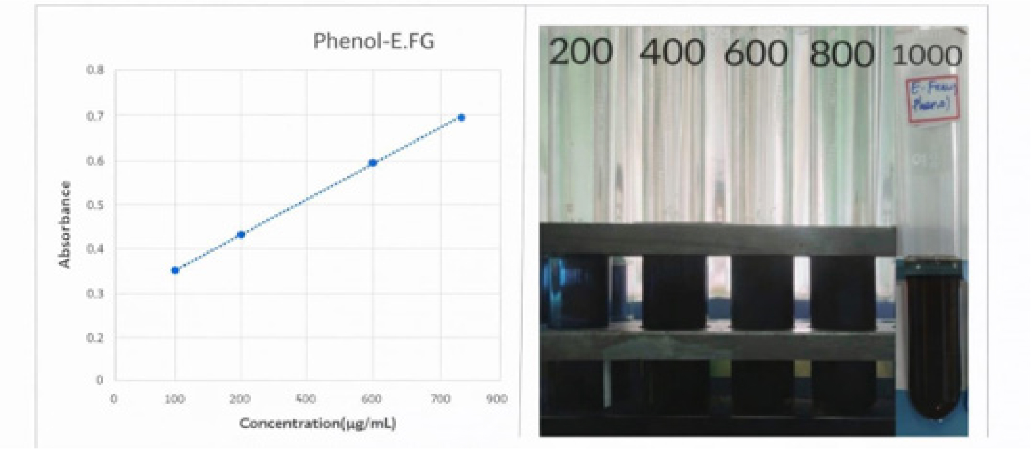 Quantification of phenolic compounds for fenugreek seeds (Trigonella foenum-graecum) ethanolic extract. Estimation of total phenolic content in Trigonella foenum-graecum ethanolic extract at various concentrations measured at 550 nm.
