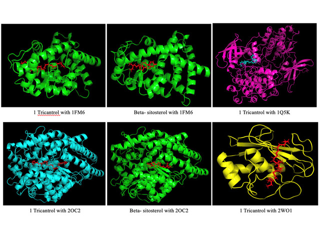 In silico Decoding of the Antidiabetic Potential of Sphaeranthus indicus Linn.: A Network Pharmacology and Molecular Docking Integration