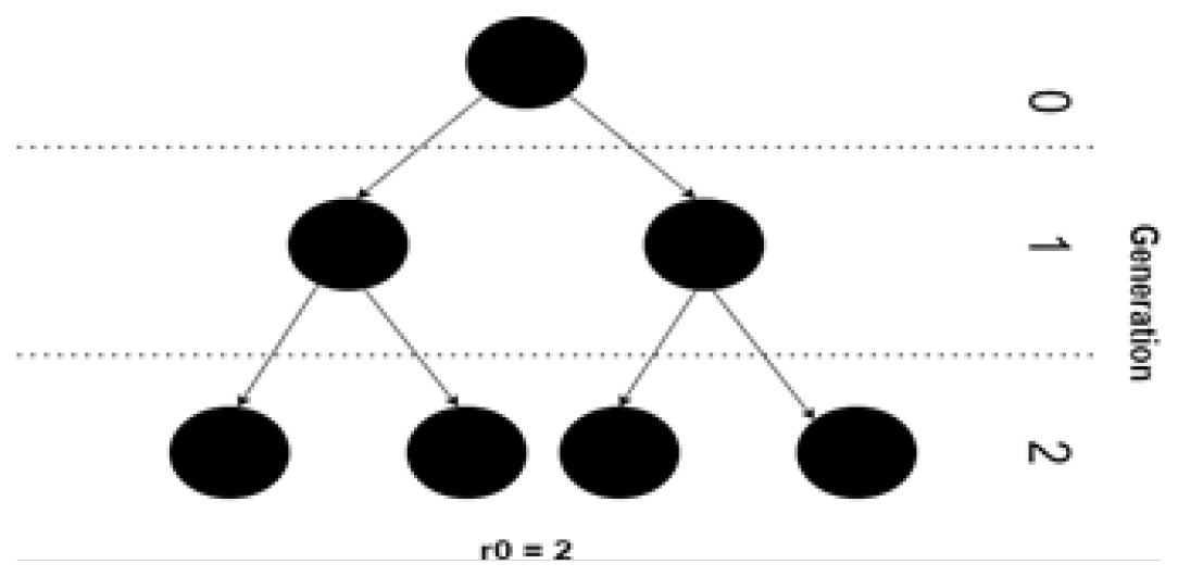 Initial spread of R0.