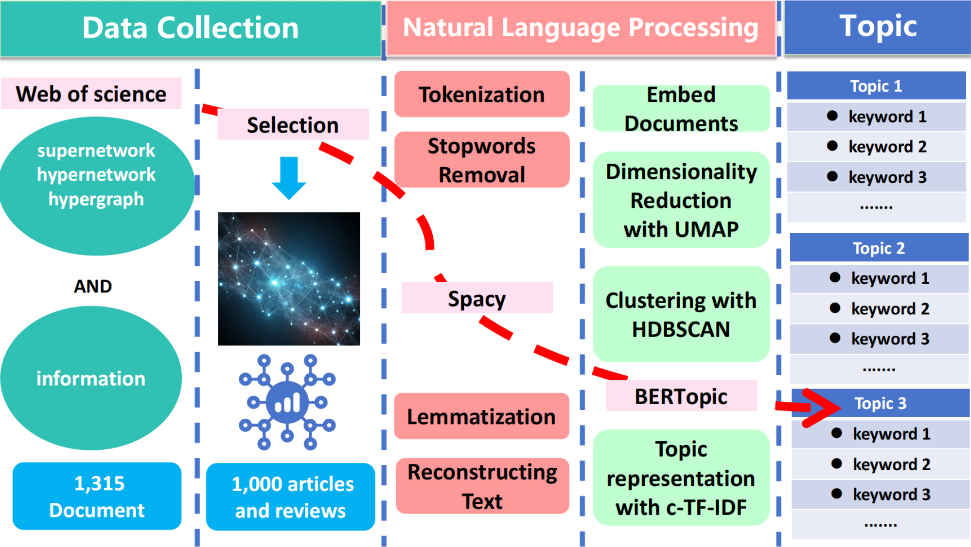 Flowchart of data processing and BERTopic analysis.