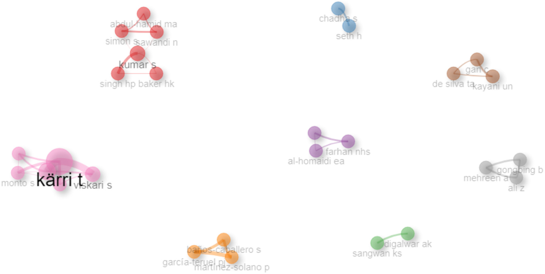 Author’s collaboration network. Source: author’s contribution.