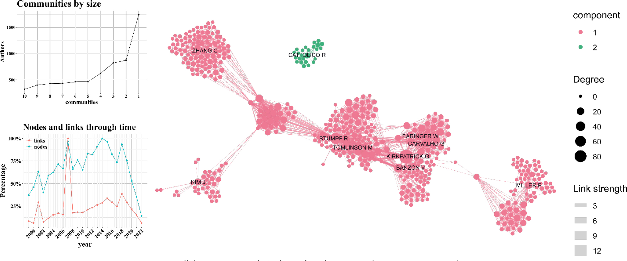 Collaborative Network Analysis of Leading Researchers in Environmental Science.