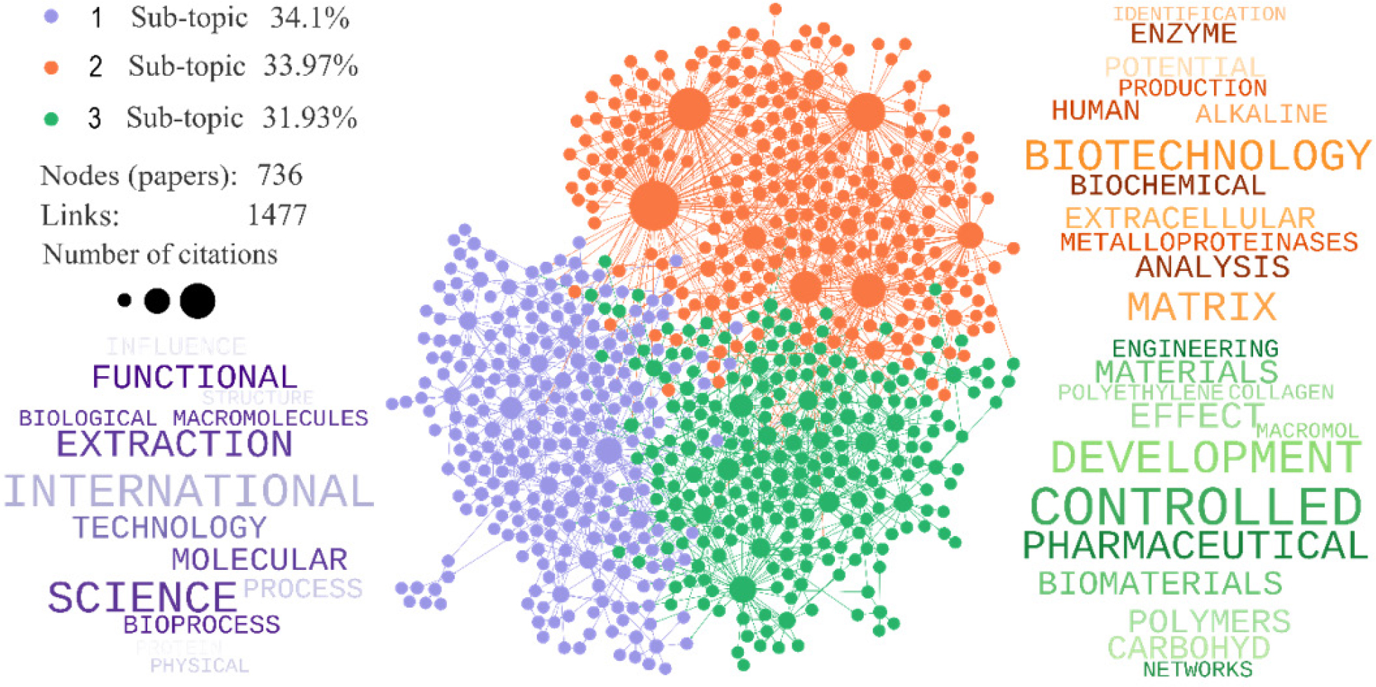 Branches (citation network analysis). Source: Self-prepared.