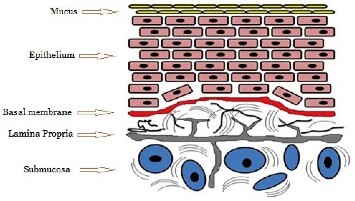 Transbuccal Drug Delivery Systems: A Comprehensive Review of Recent Approaches Transbuccal Drug Delivery Systems: A Comprehensive Review of Recent Approaches