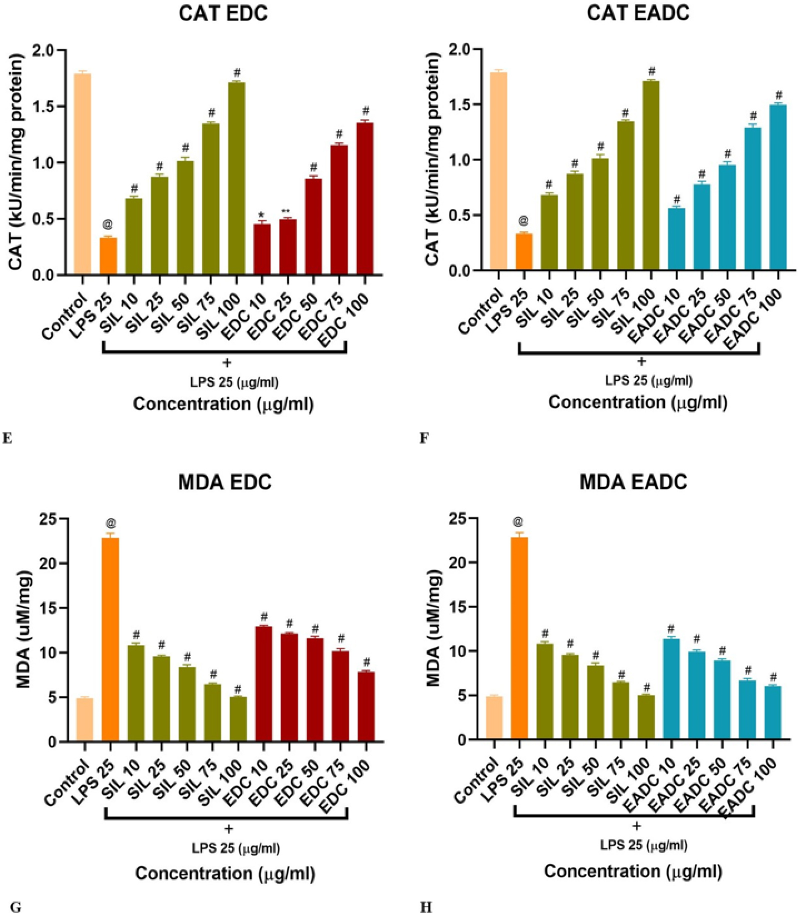 In vitro Hepatoprotective Effect of Drymaria cordata Against Lipopolysaccharide-Induced Hepatotoxicity in HepG2 Cell Line