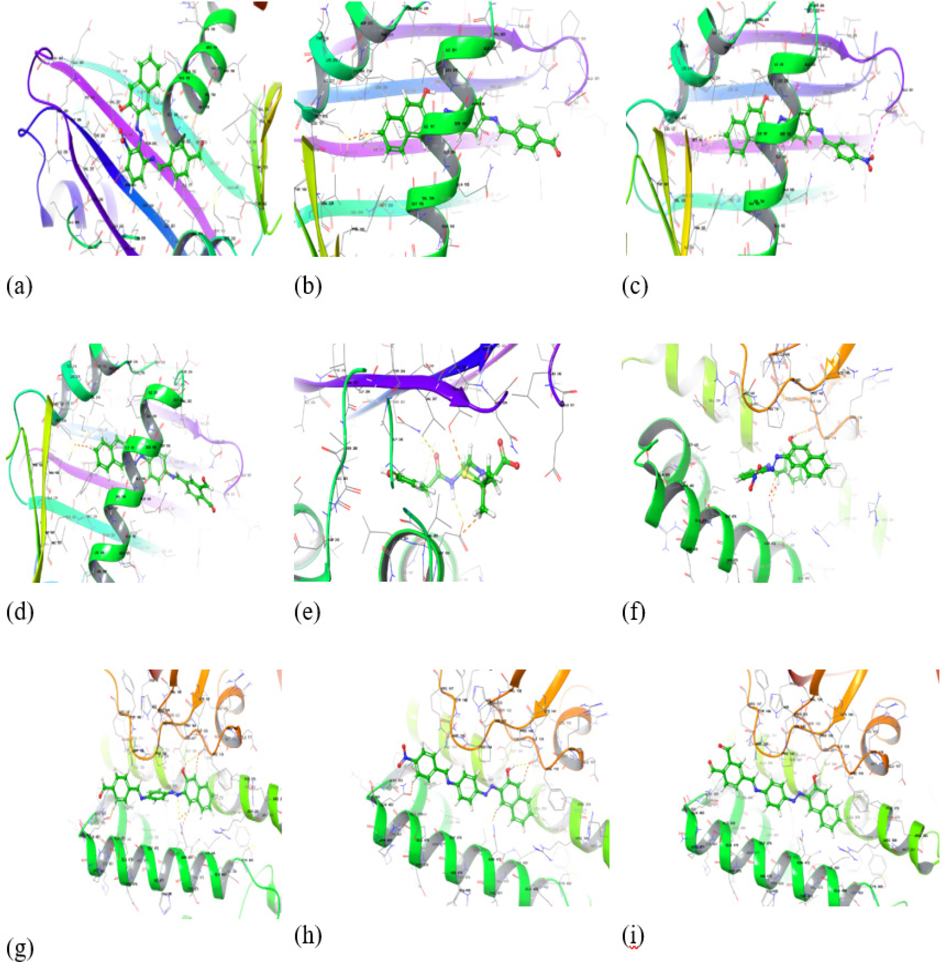 Docking 3-D of Gram +ve bacterial protein [5XDT]; a-C4, b-C5, c-C6, d-C7, e-std.drug(Amoxicillin). Docking 3-D of Gram -ve bacterial protein [1Q81]; f-C4, g-C5, h-C6, i-C7.