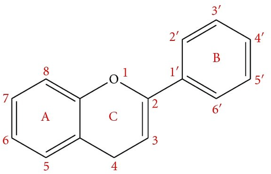 Common flavonoid carbon skeleton structure.
