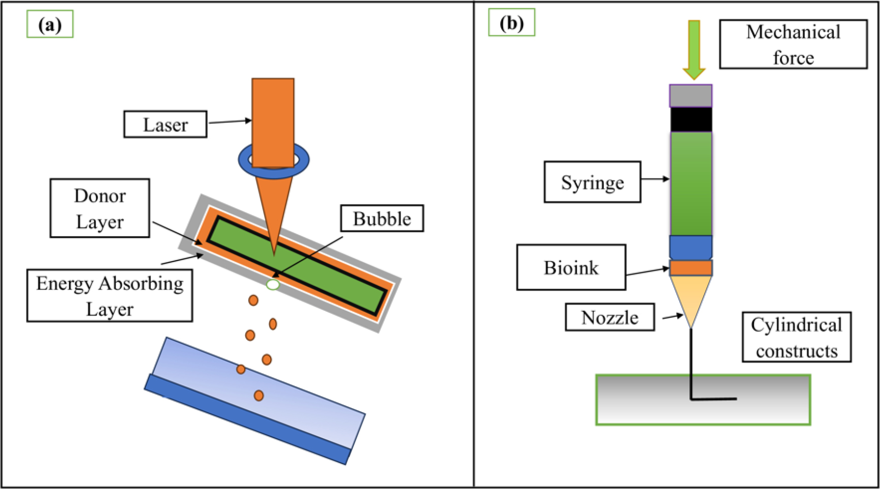 (a) Laser-Assisted Bioprinting;(b) Extrusion Method.