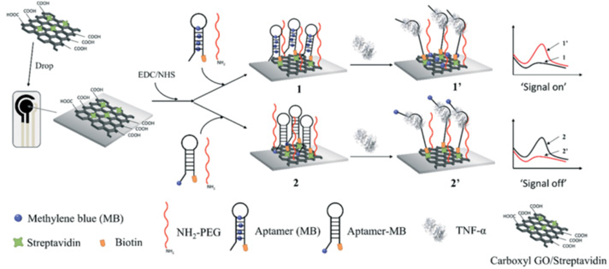 Shows an electrochemical molecular beacon-based biosensor designed for detecting TNF-α in saliva, highlighting its potential use in early diagnosis of oral cancer (Mahalakshmi et al., 2025e).