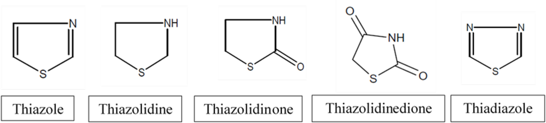 Biologically active five membered heterocyclic rings.