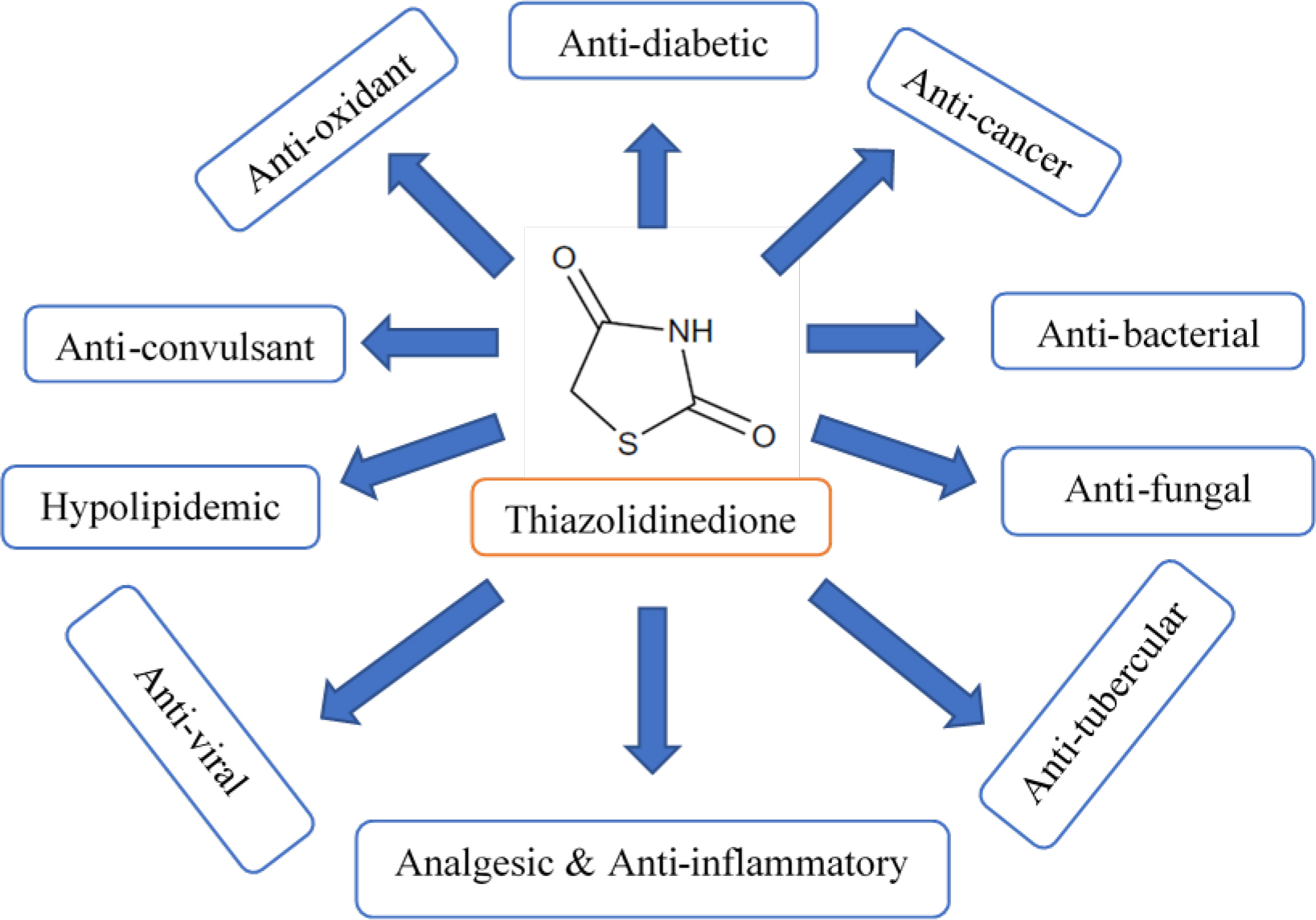 Therapeutic potential of thiazolidinedione derivatives.