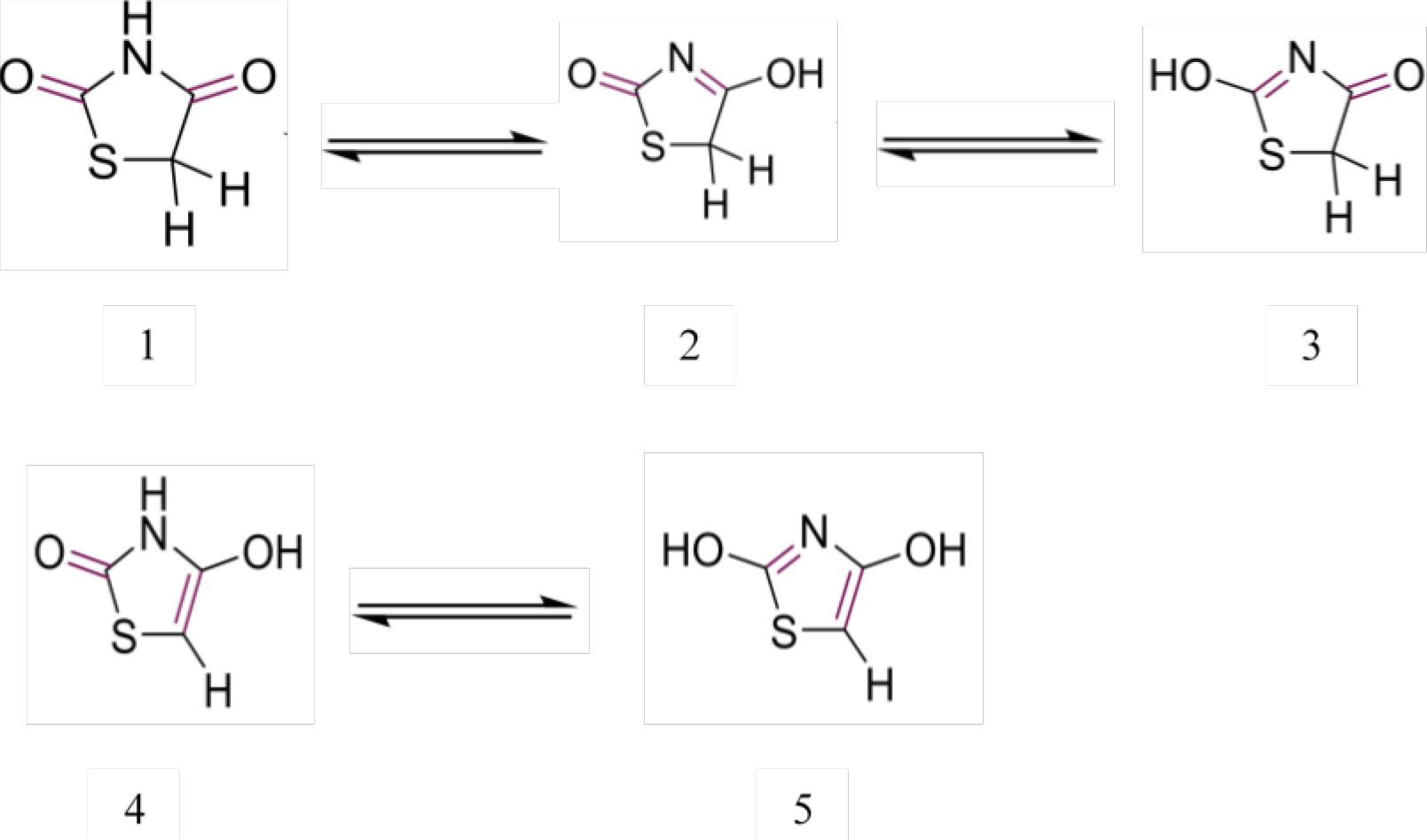 Various tautomeric forms of thiazolidinedione.