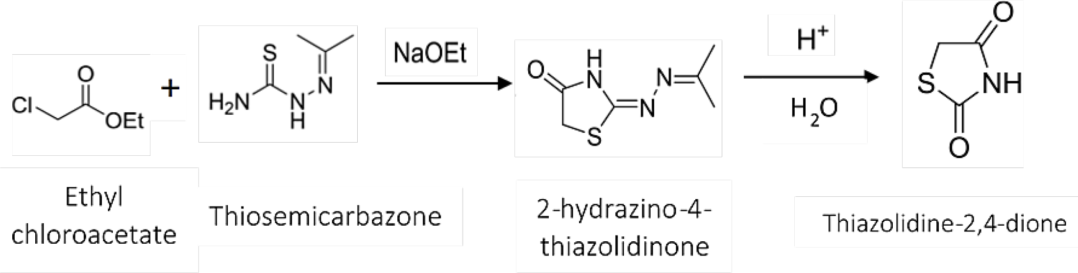 Thiazolidinedione synthesis using ethyl chloroacetate and thiosemicarbazone.