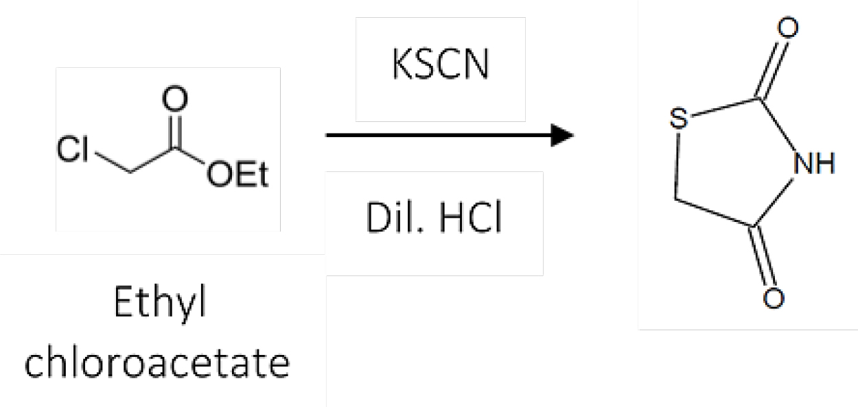 Thiazolidinedione synthesis using ethyl chloroacetate and potassium thiocyanate.
