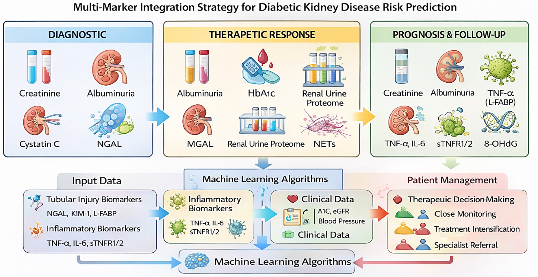 Multi-biomarker integration strategy for diabetic kidney disease risk prediction.