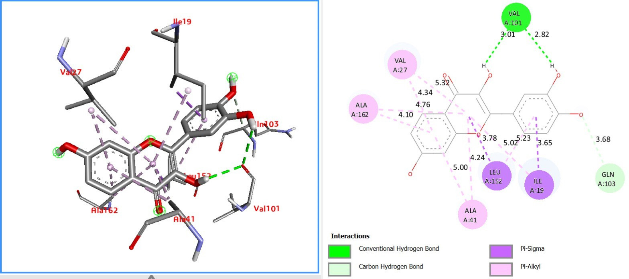 Dasatinib docking in NF-κB p50 active site for SASP suppression. 3D pose with H-bonds; (B) 2D interactions (green: H-bonds 2.5-3.5Å; purple: π-contacts). D+Q clinical Cmax 1 μg/mL.