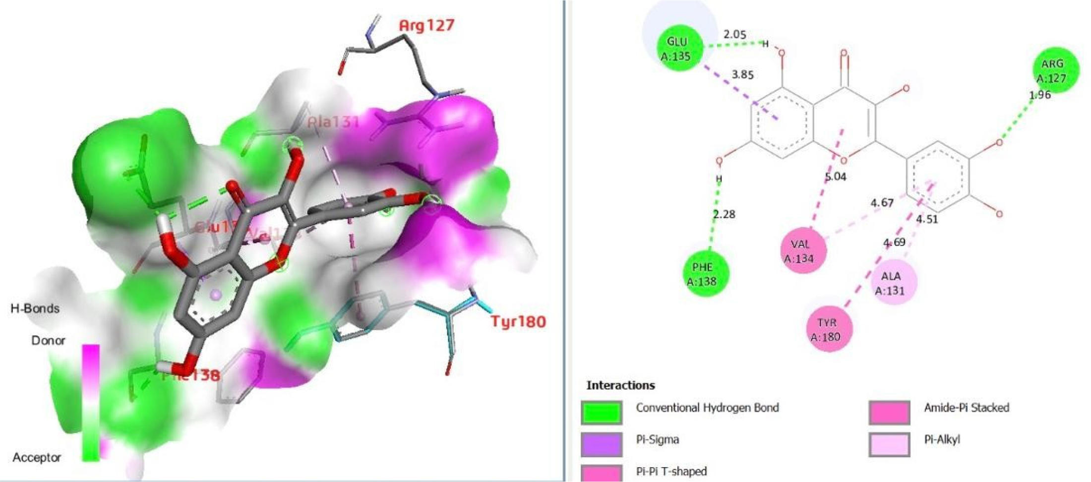 Fisetin docking in NF-κB p50 active site for SASP suppression. 3D pose with H-bonds; (B) 2D interactions (green: H-bonds 2.5-3.5Å; purple: π-contacts). Complements D+Q clinical profile.
