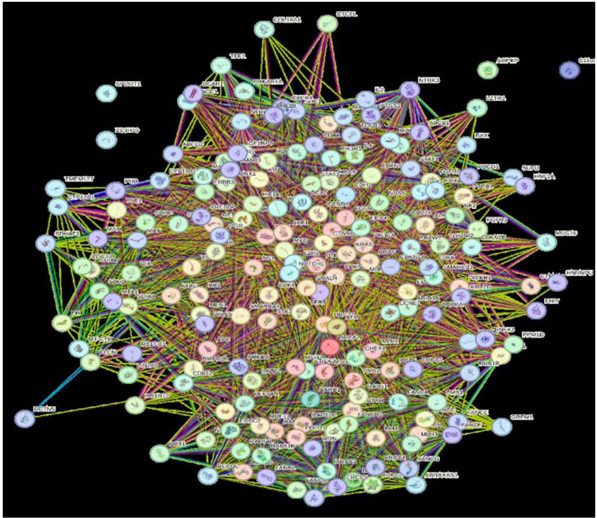 Protein–Protein Interaction Map representing key signalling and regulatory proteins involved in breast cancer signalling pathways.